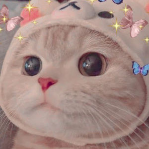 Meet your Posher, Dailanys